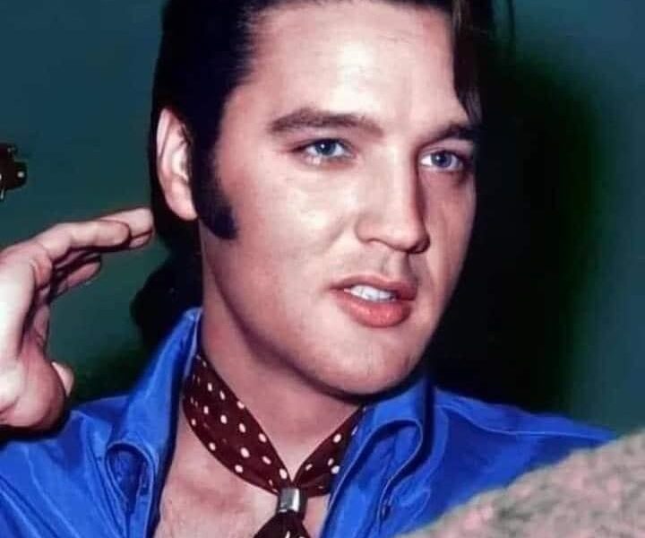 Elvis Presley - I'll Never Fall In Love Again