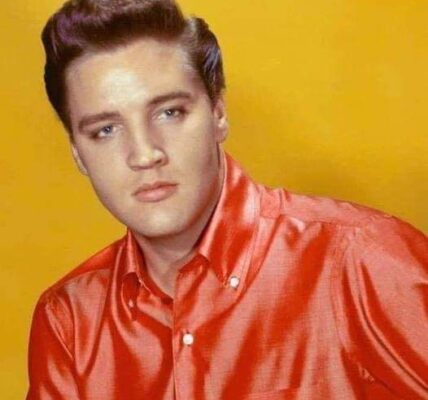 Elvis Presley - I Got Stung