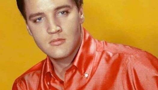 Elvis Presley - I Got Stung