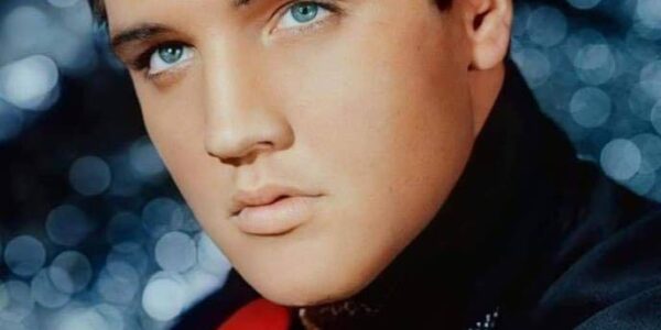 Elvis Presley - (You're The) Devil In Disguise