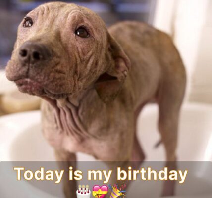 My birthday is today. I would be so happy if you could send me well wishes. ‎