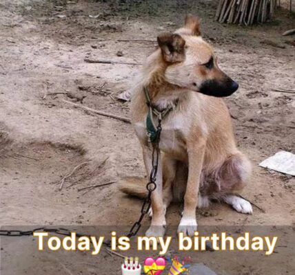 It is my birthday today. When no one is present to celebrate my birthday, I feel alone.