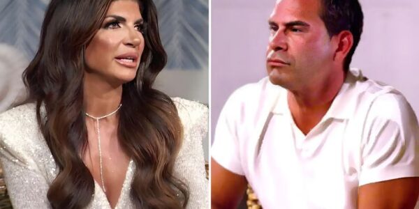 RHONJ star Teresa Giudice’s fiance Luis Ruelas sued for ‘refusing to pay $44K’ to vendor amid nasty $113K lawsuit