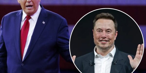 Musk responds to Trump's criticism by saying, "THE SWAMP WILL BE DRAINED," and that he will assist in "reforming government."