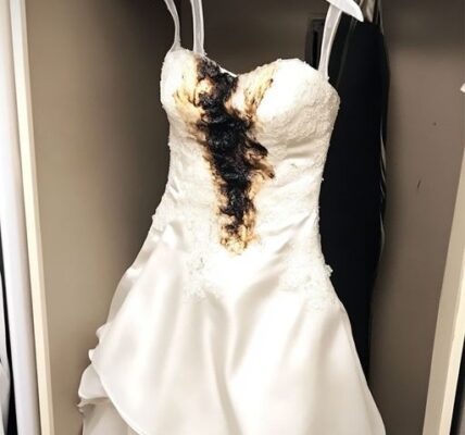 I FOUND MY WEDDING DRESS RUINED WITH AN IRON – I WAS DUMBFOUNDED WHEN I LEARNED WHO DID IT - Today.licham